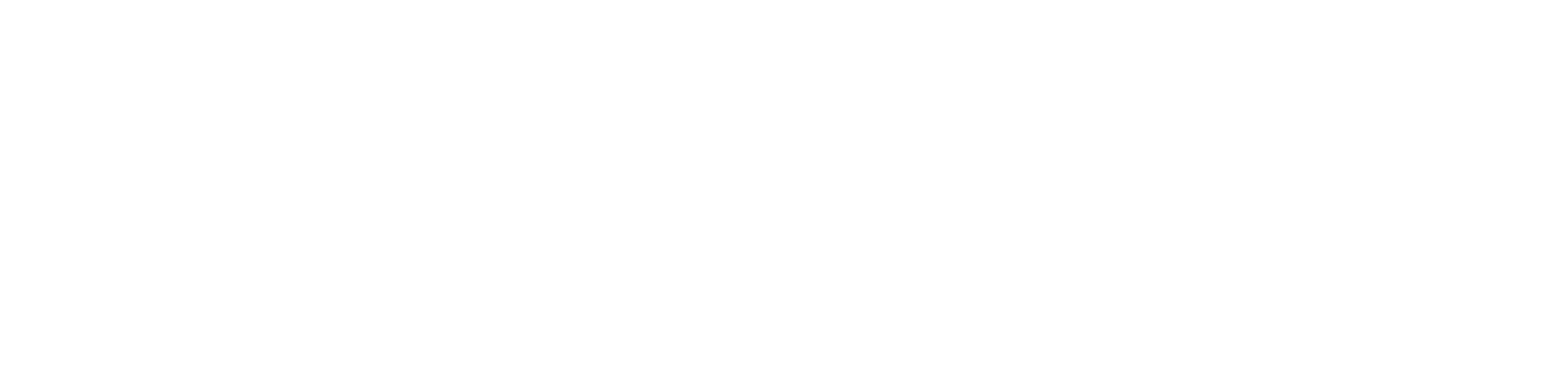 The Effective Executive Leadership Program